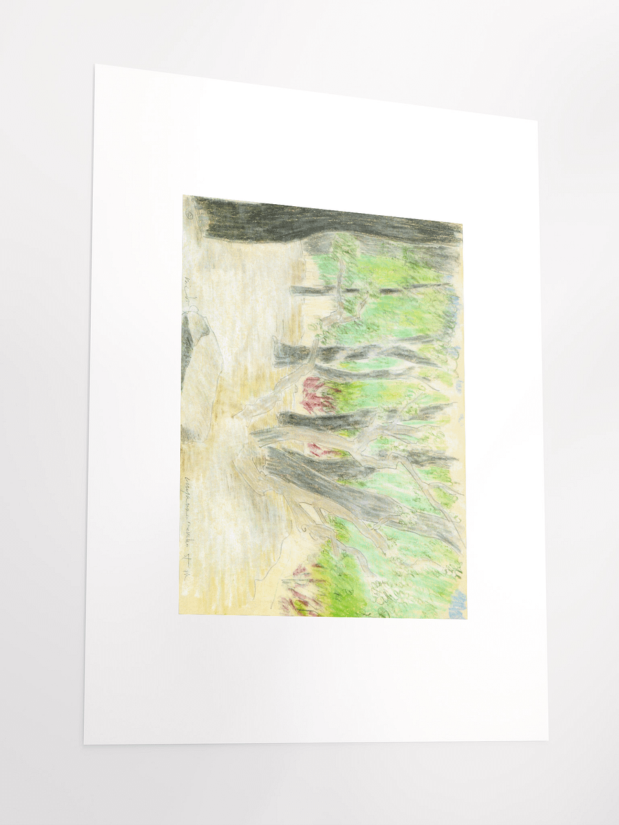 Cuyamaya Canyon State Park, CA 09.16.86 print product image (4)