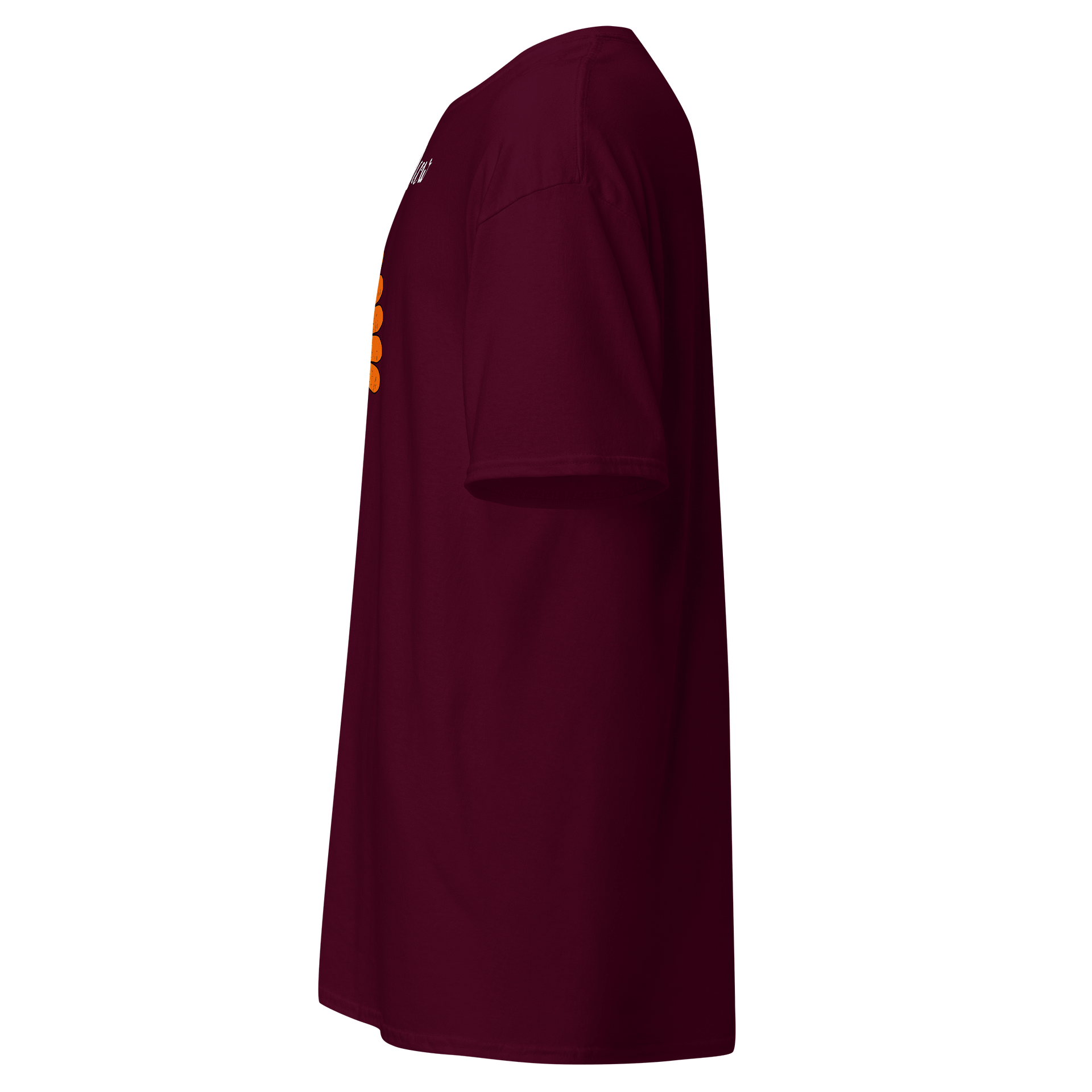 Whimsical Turkey Meow T-Shirt product image (47)