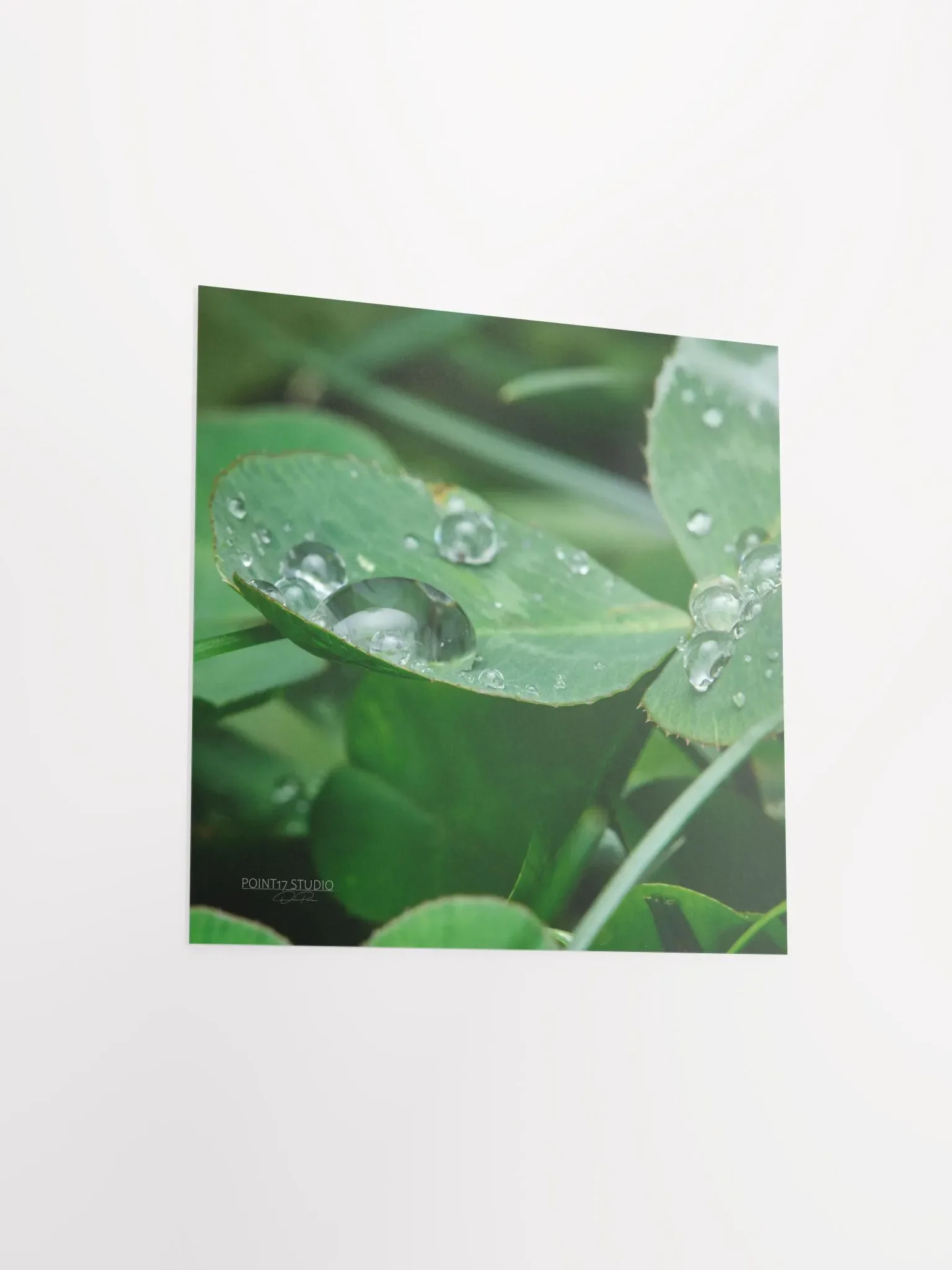 Dew Gems #8 - Print product image (8)