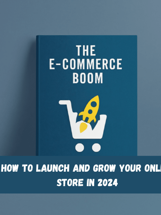The E-commerce Boom: How to Launch and Grow Your Online Store in 2024 product image (2)