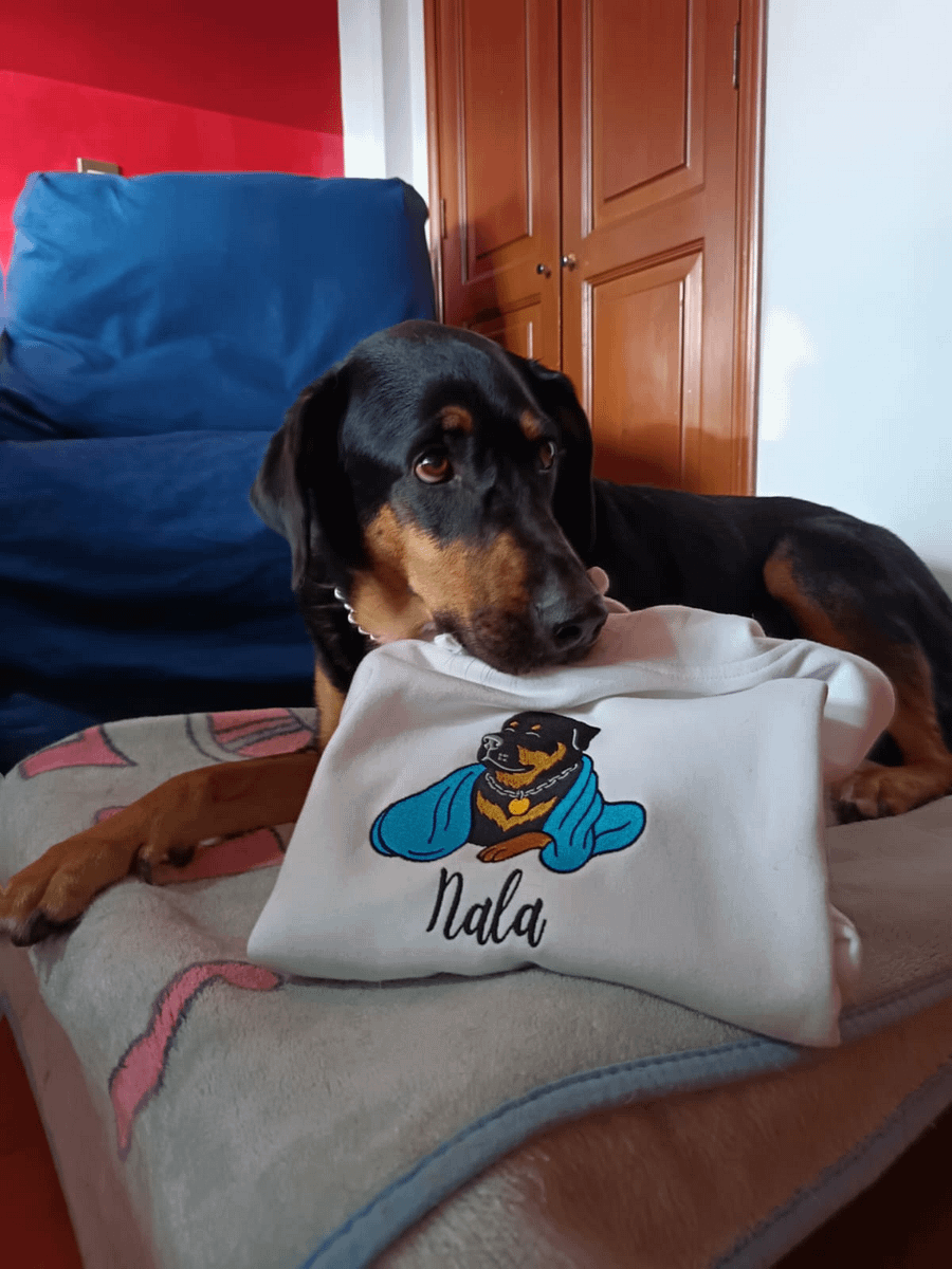 NALA💙 / EMBROIDERED HOODIE product image (3)