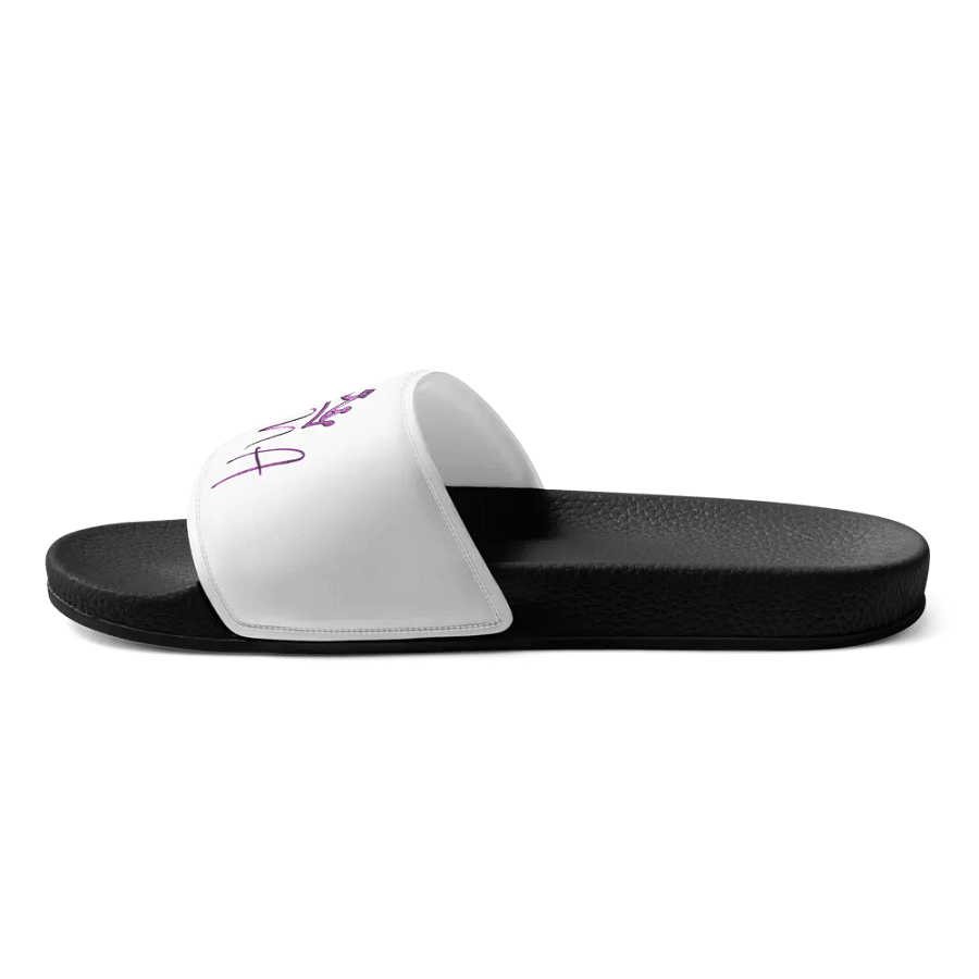 EMA Slides product image (4)