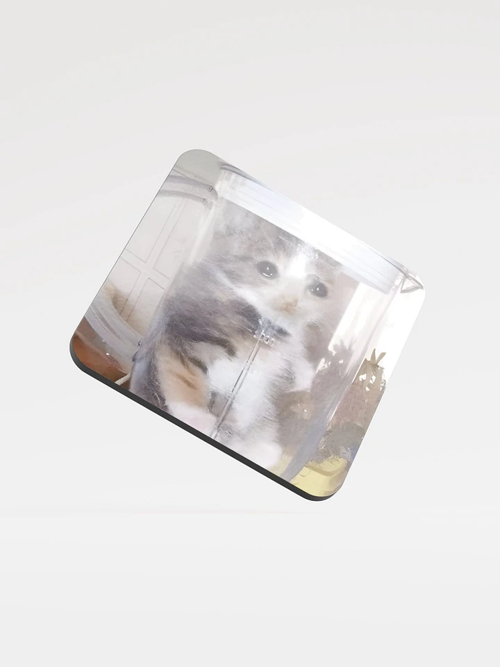 Glossed Cork Coaster: Meme Cats product image (1)