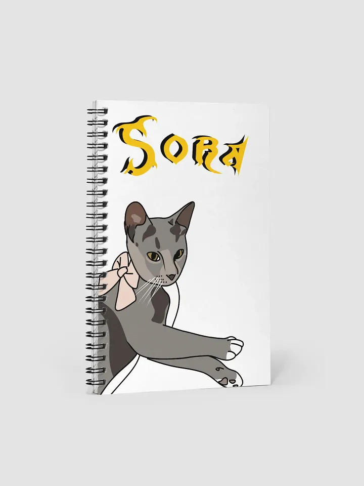 Kitty Sora Notepad product image (1)