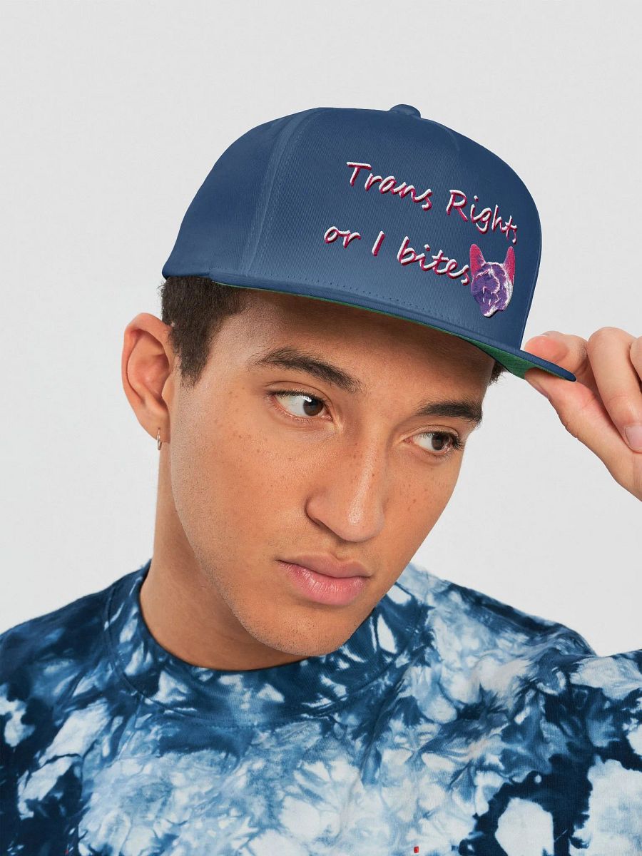 TROIB Snapback hat in pink product image (1)