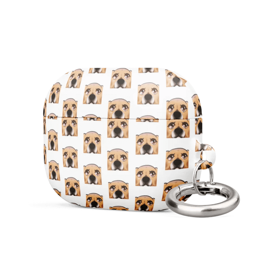 CoyBeg Airpods Pro Case product image (2)