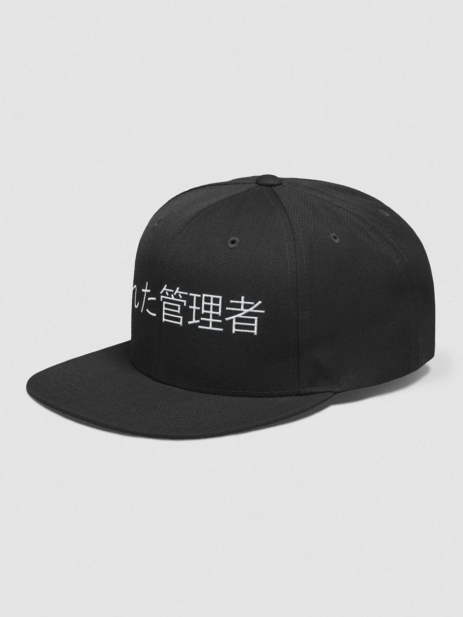 BrokenAdmin Flat Bill product image (3)