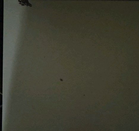 PO