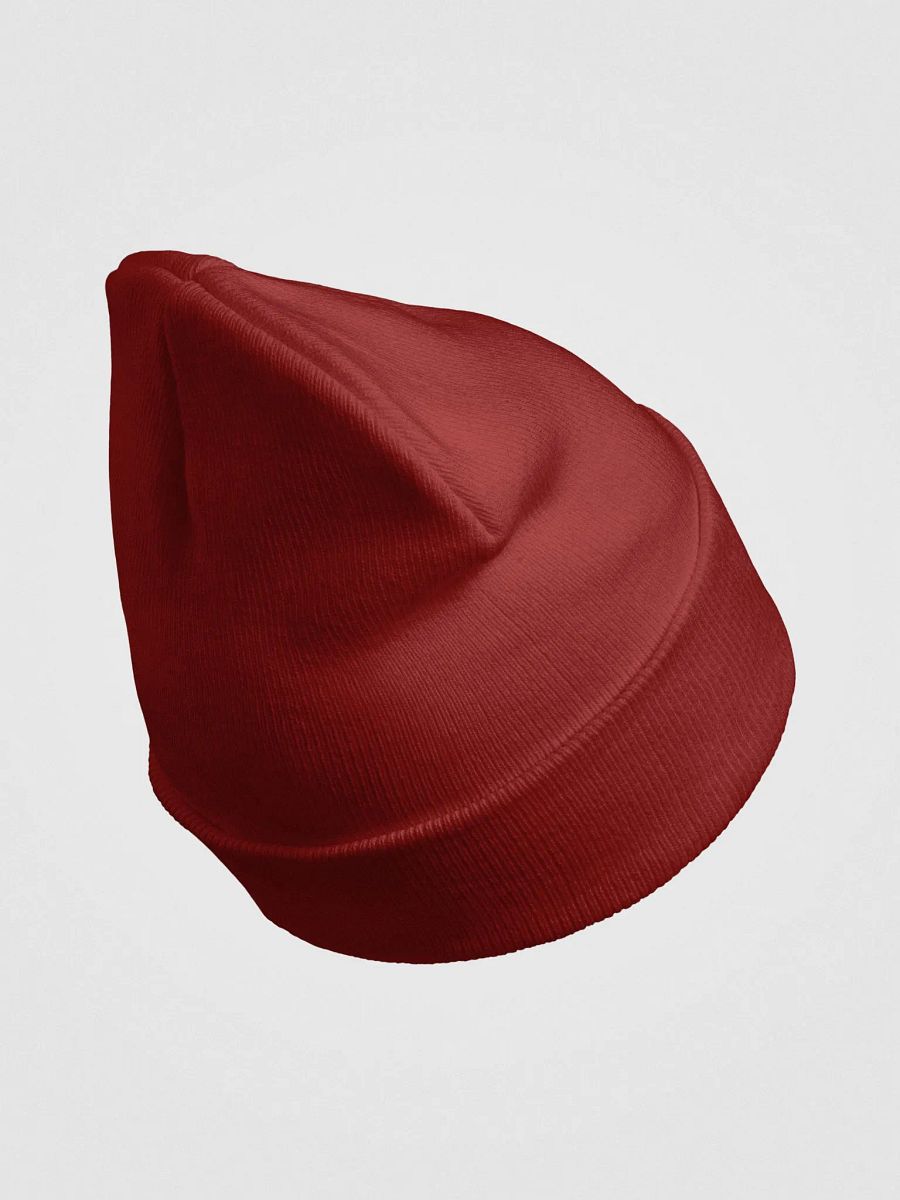 Shaolin Kung Fu - Beanie product image (4)