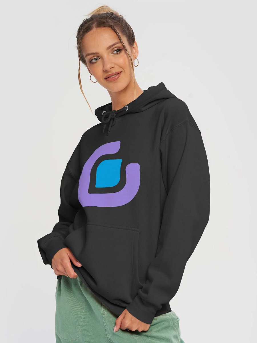 Boodlebox Logo Hoodie product image (3)