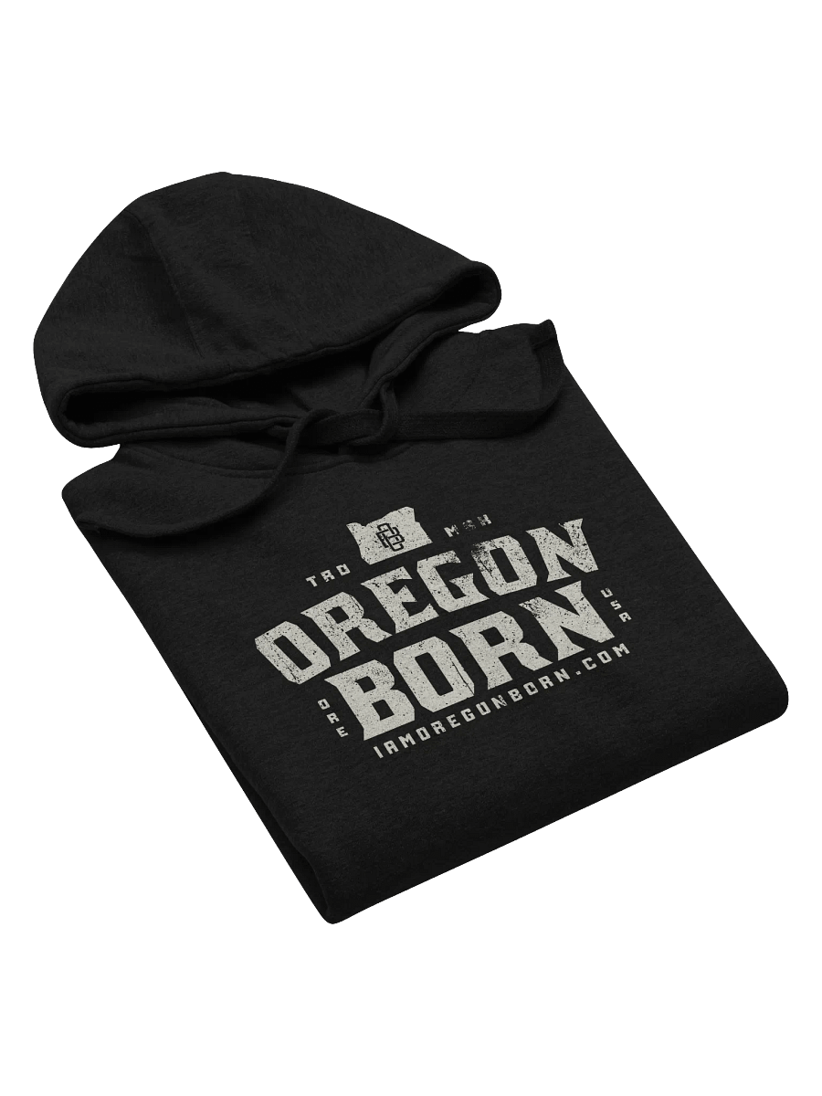 Vintage Collegiate Oregon Born Hoodie product image (5)