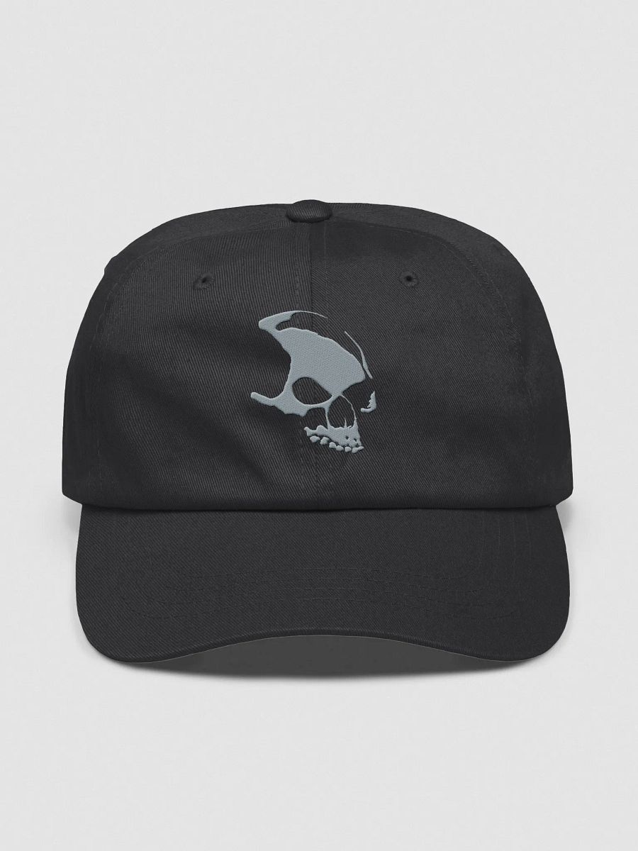 Armada Skull Dad Hat product image (1)