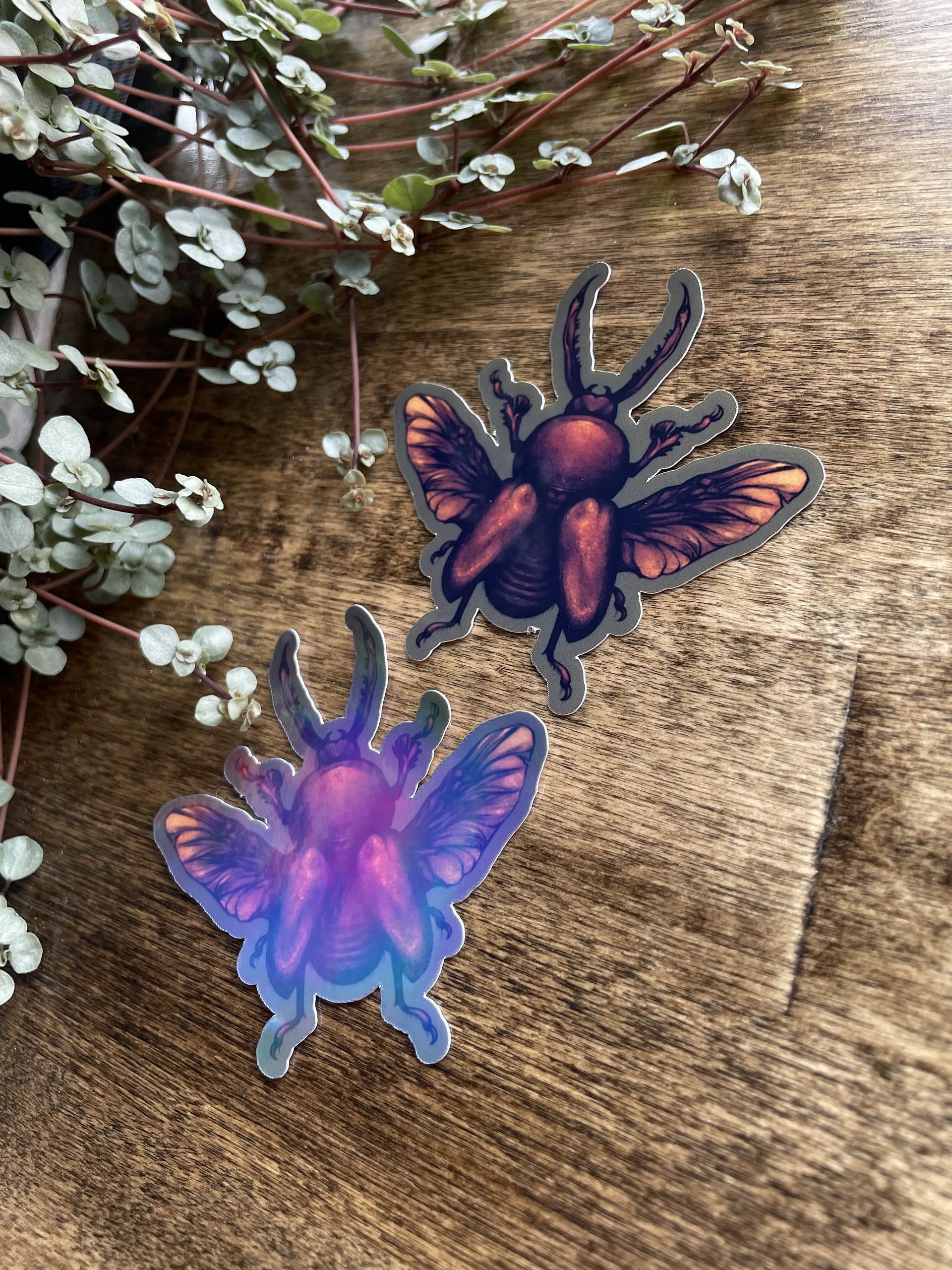 Beetle Sticker (Full Color) product image (4)