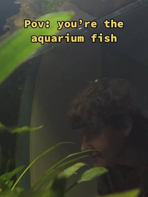 Pov: you’re the fish