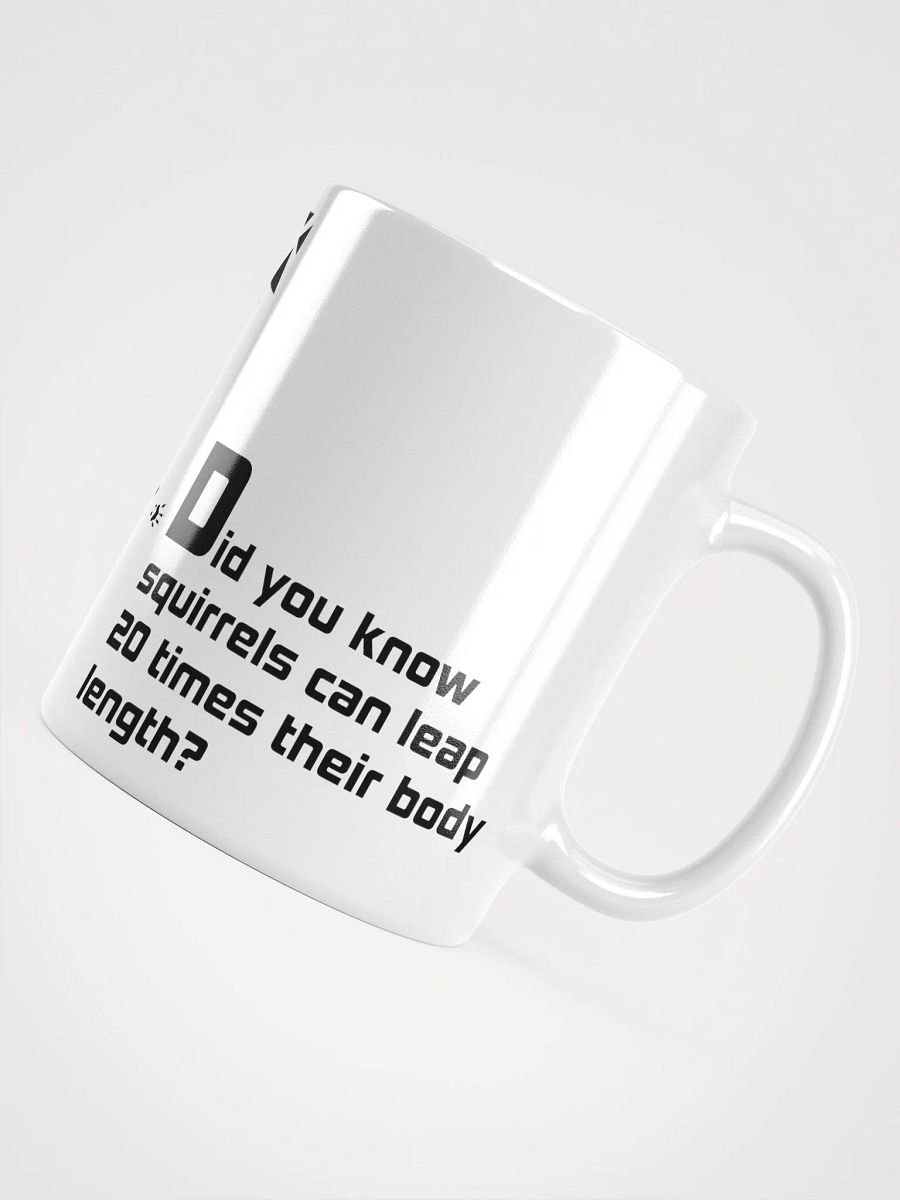 ADH...Didyouknowaboutsquirrels Mug product image (6)
