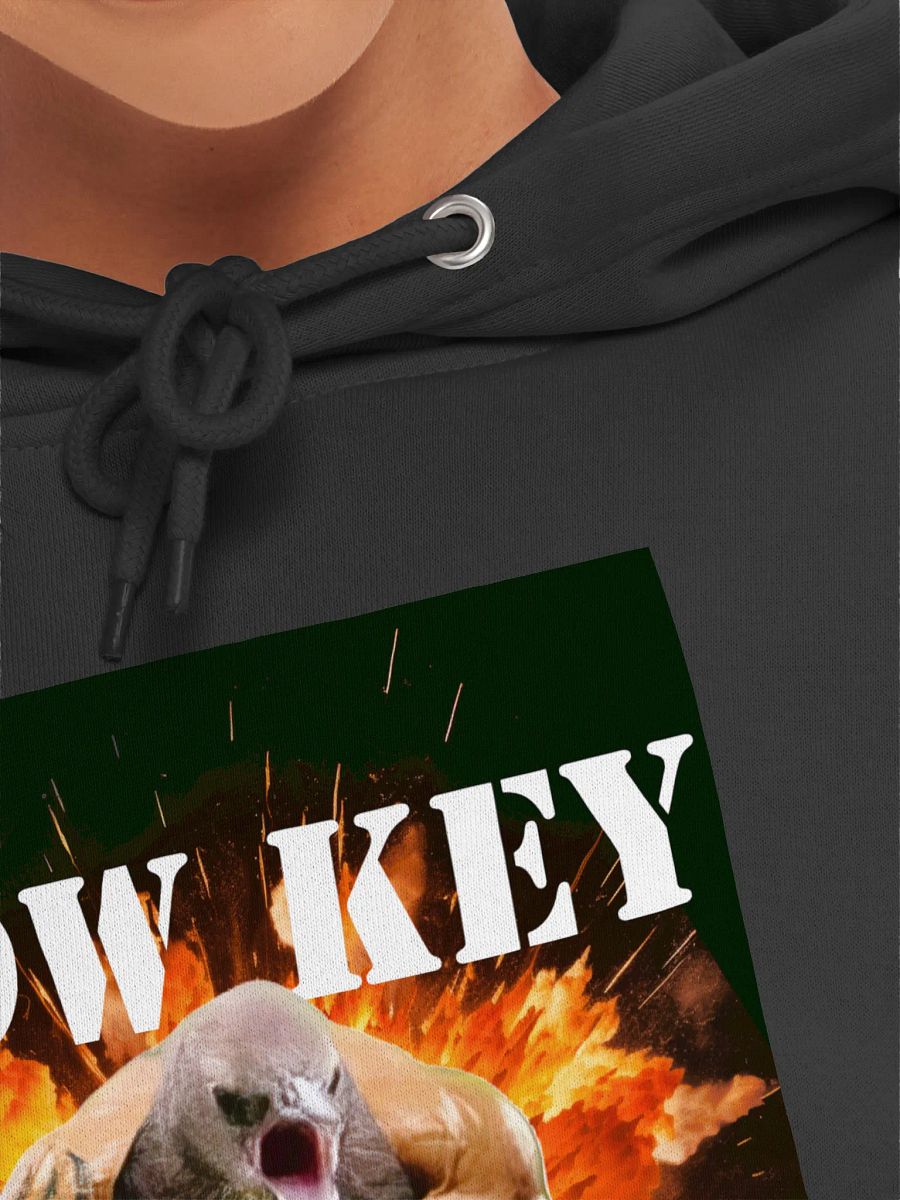 The OG LOGO Hoodie product image (7)