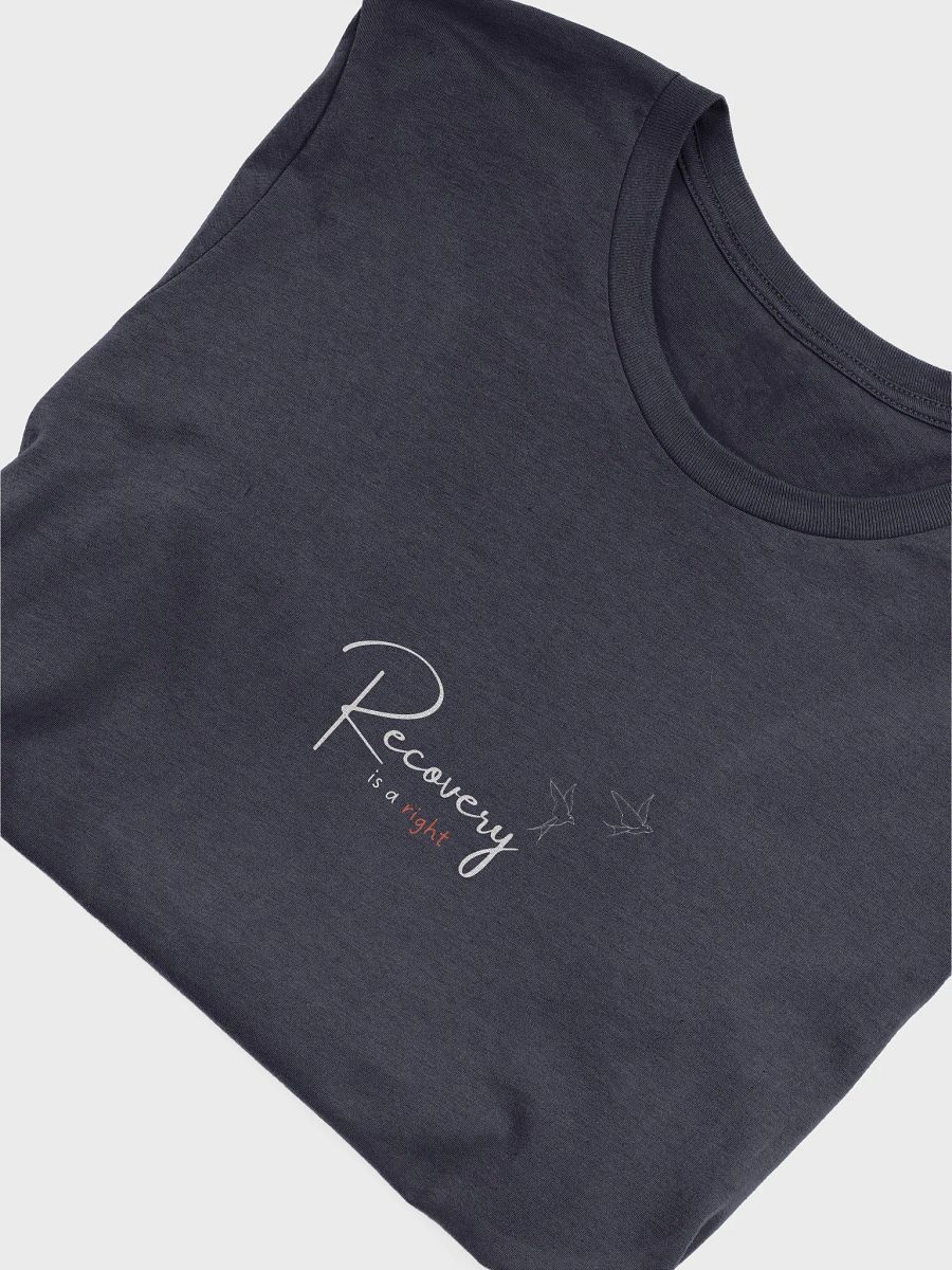 Recovery is a Right product image (1)