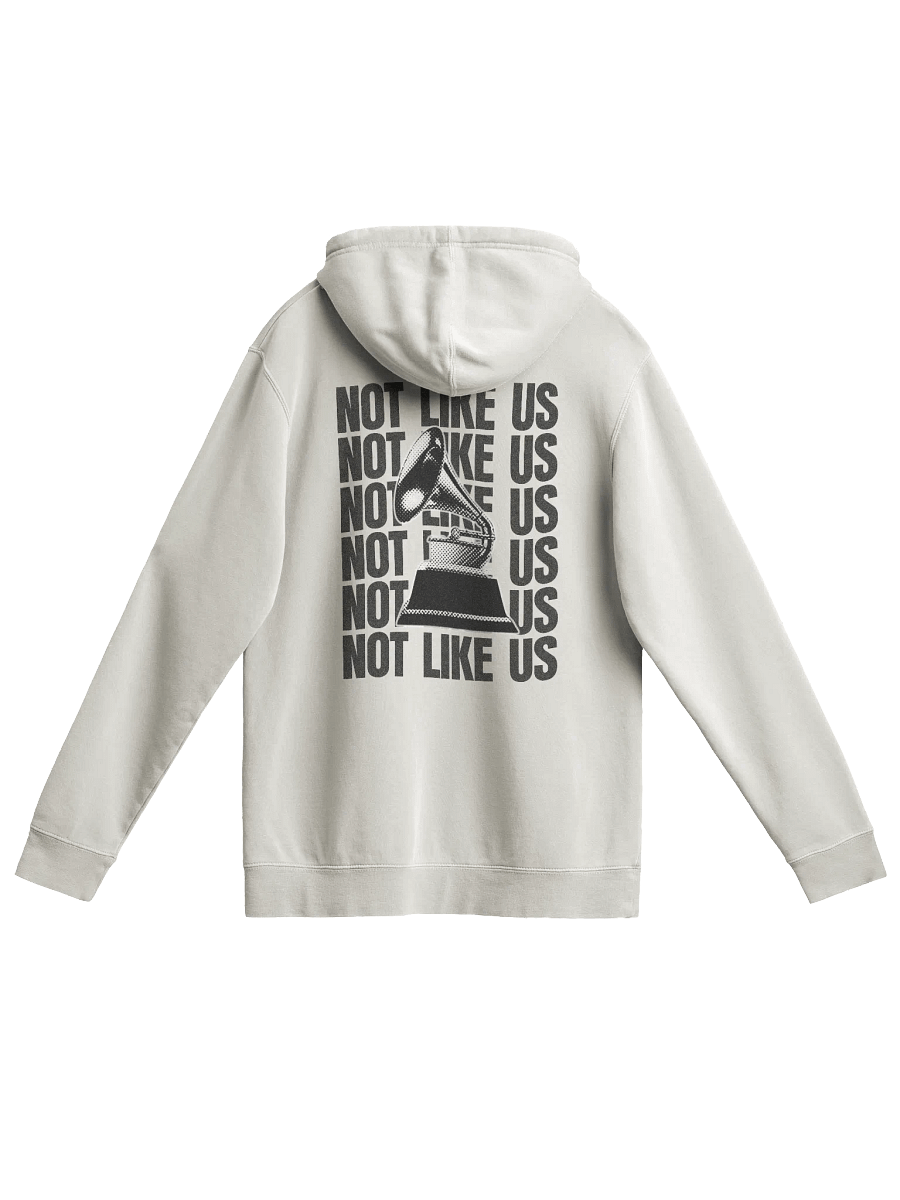 NOT LIKE US HOODIE WHITE product image (1)