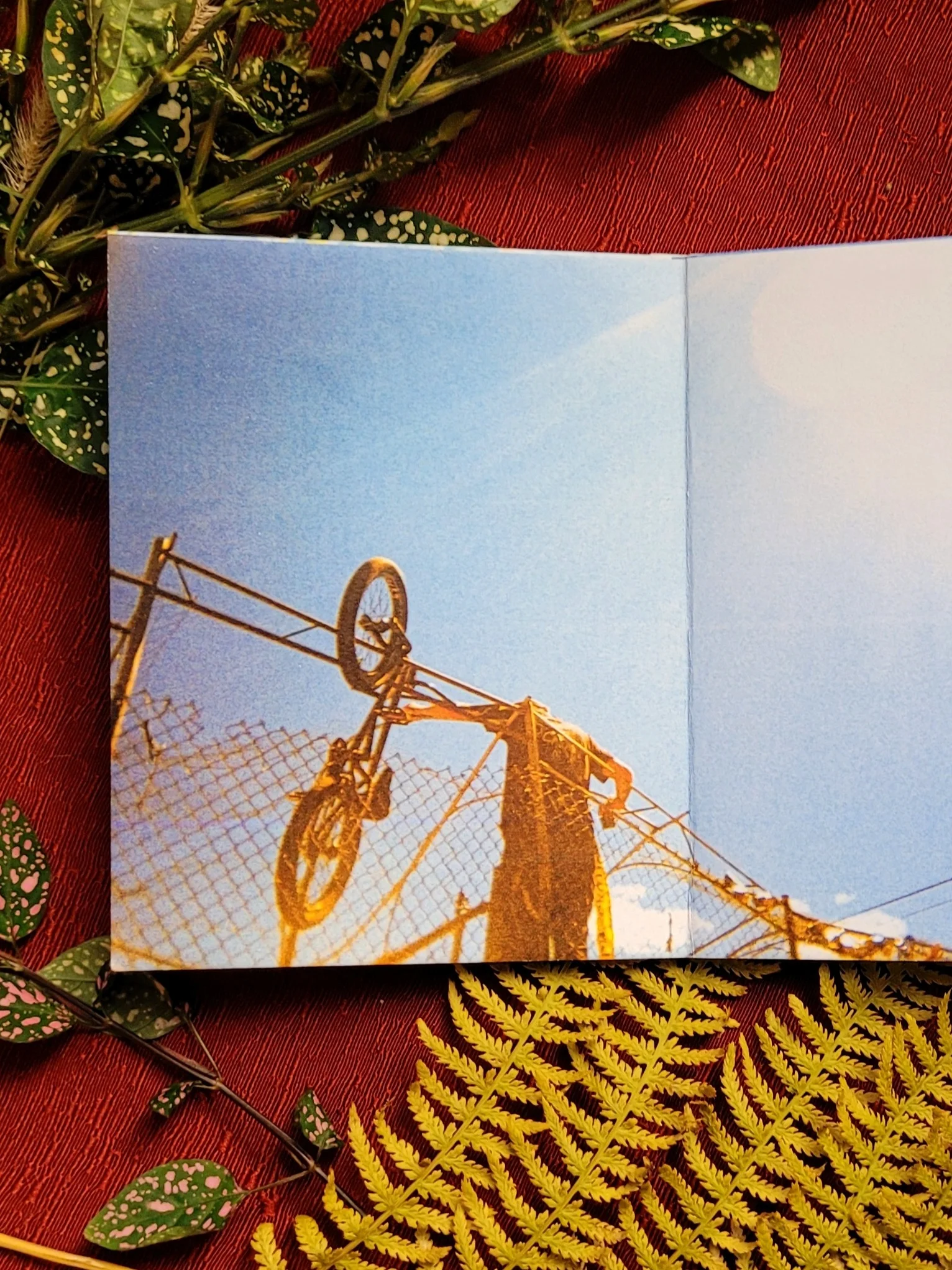 May Day Photo Zine product image (2)