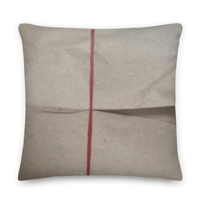 Char Siew Rice Decorative Pillow product image (8)