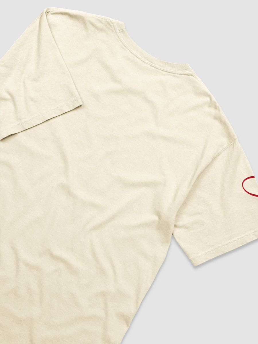 Just your friendly neighborhood sex coach t-shirt product image (3)