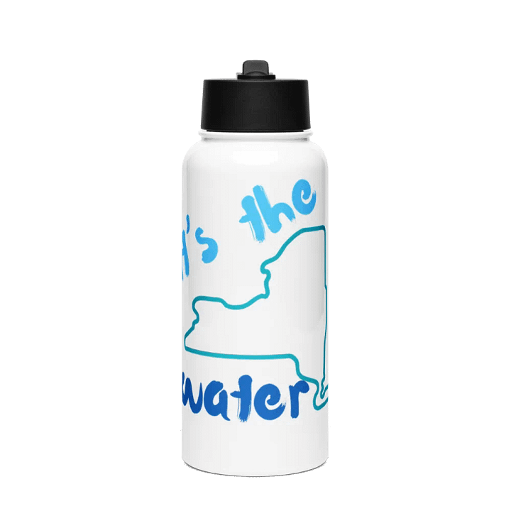 "It's the Water" Stainless Steel Water Bottle with Straw Lid product image (1)