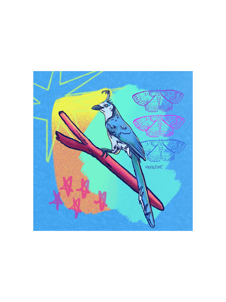 magpie jay print product image (2)