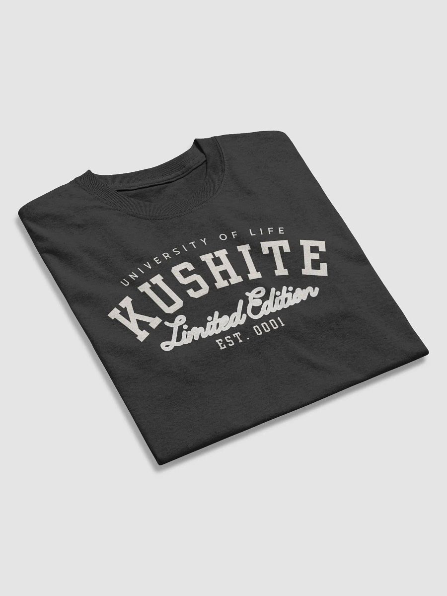 Kushite University product image (3)