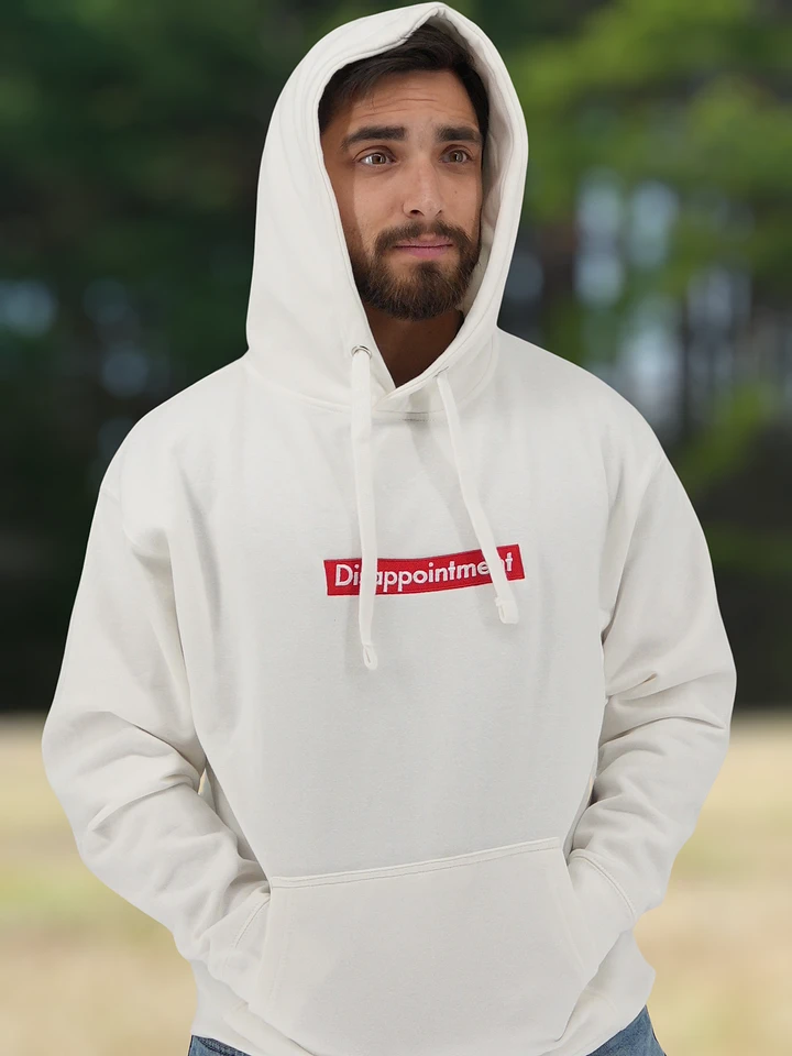 Copy of Disappointment | Embroidered Hoodie product image (2)