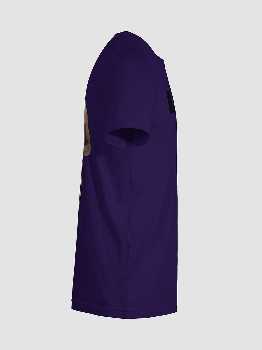 Lebron James (The King) Comfort T-Shirt product image (34)