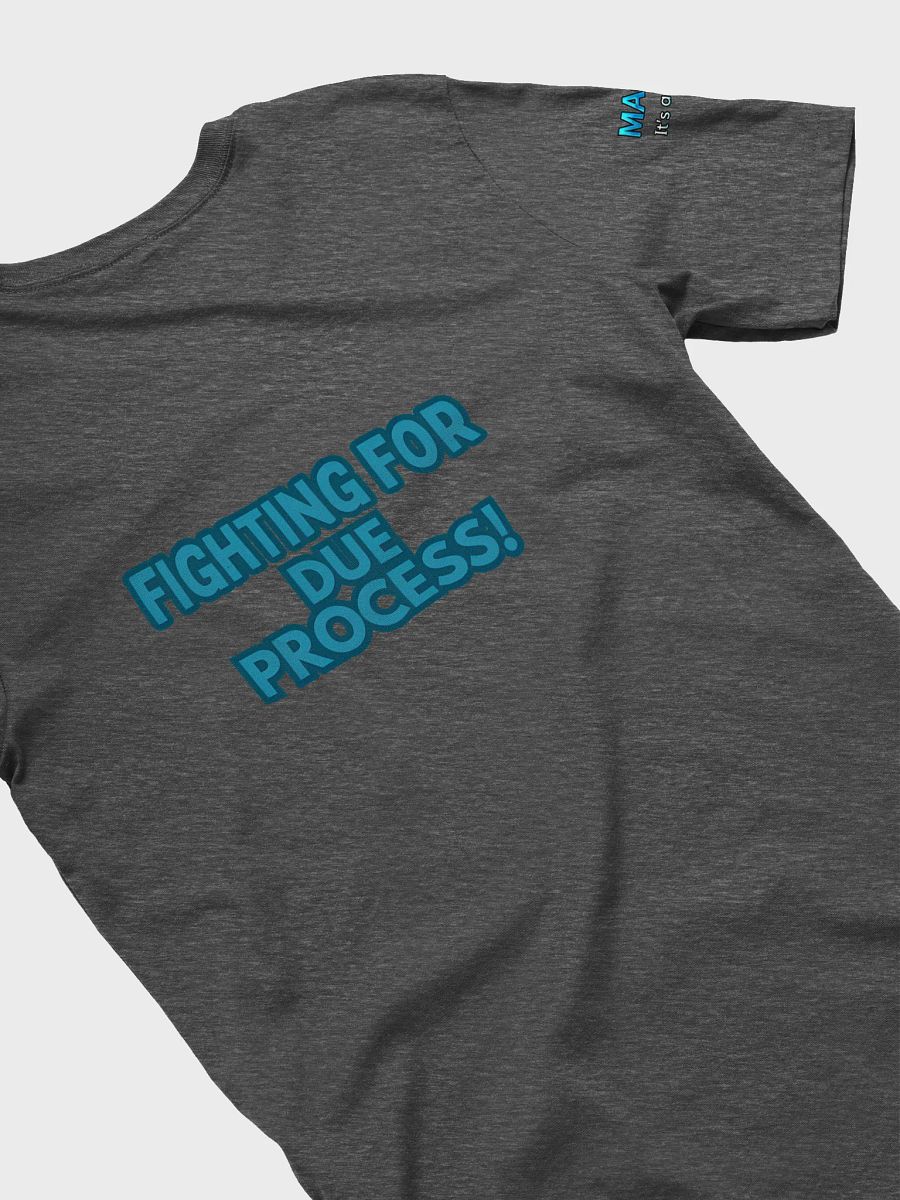MAGA It's a Cult - Due Process Soft T-Shirt product image (44)