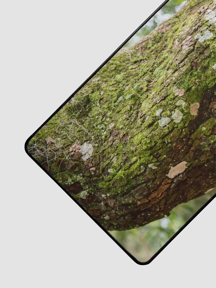 Desk Mat L4 - Southern Louisiana Series product image (2)