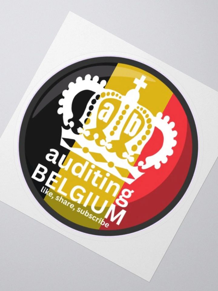 AUDITING BELGIUM product image (2)