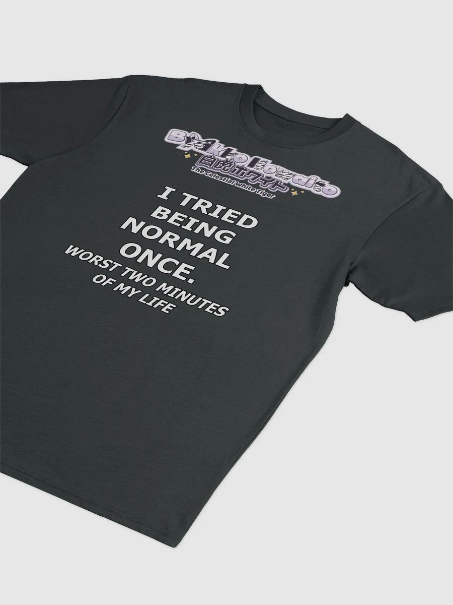 Premium Heavyweight Tee - Byakko Being Normal Edition product image (15)