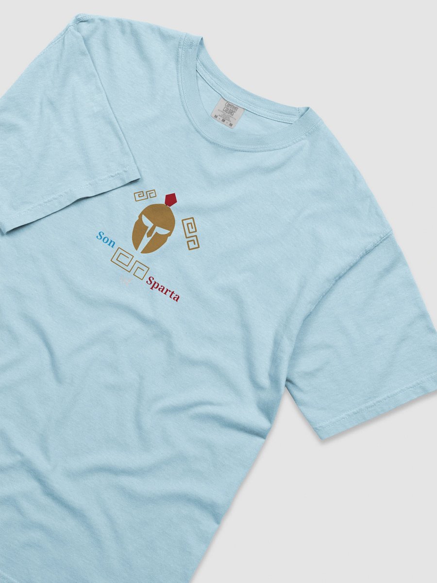 Spartan Crest Comfort Tee product image (5)