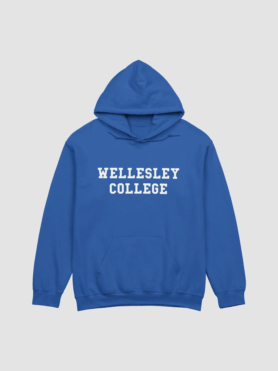 Reunion Classic Hoodie product image (3)