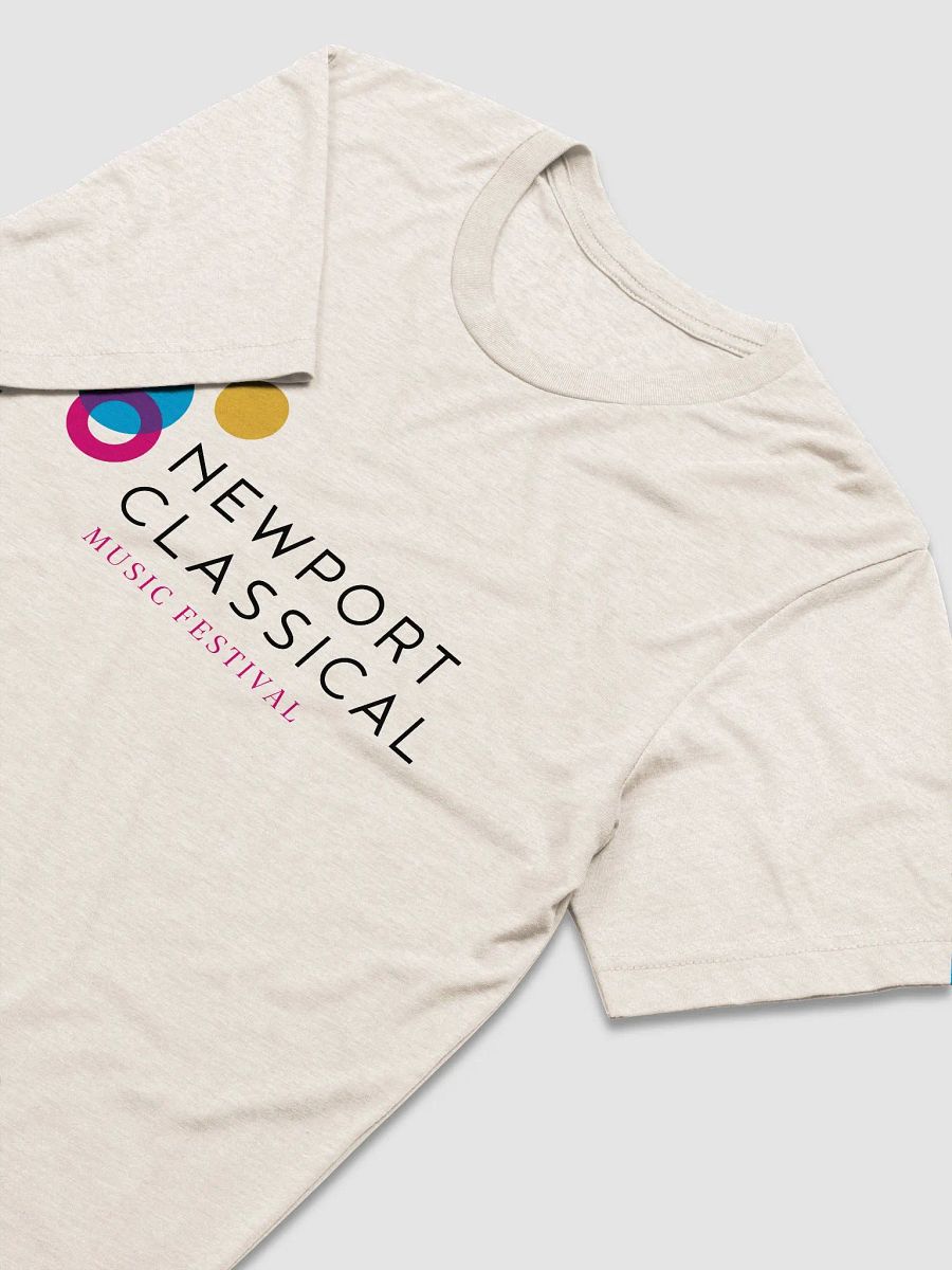 Festival T-Shirt product image (3)