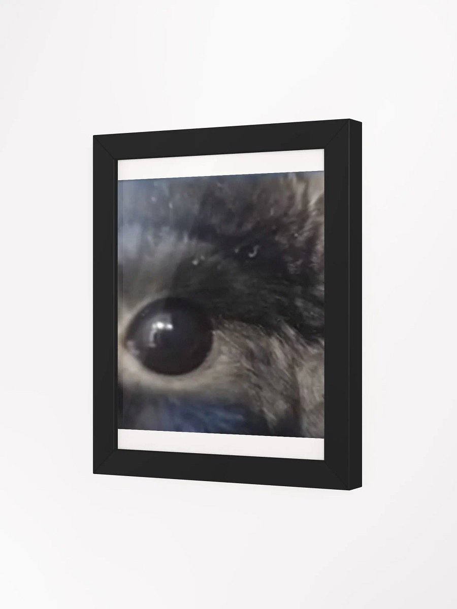 Bou Stare Poster product image (33)