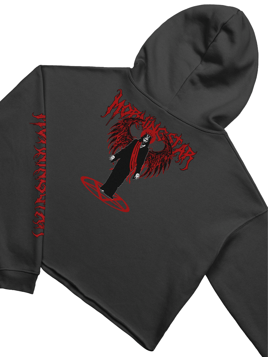 Morningstar Fleece Crop Hoodie product image (4)