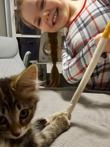 What’s the funniest or most ridiculous thing your kitten has ever done? Drop a story or photo—we need to know we’re not alone...