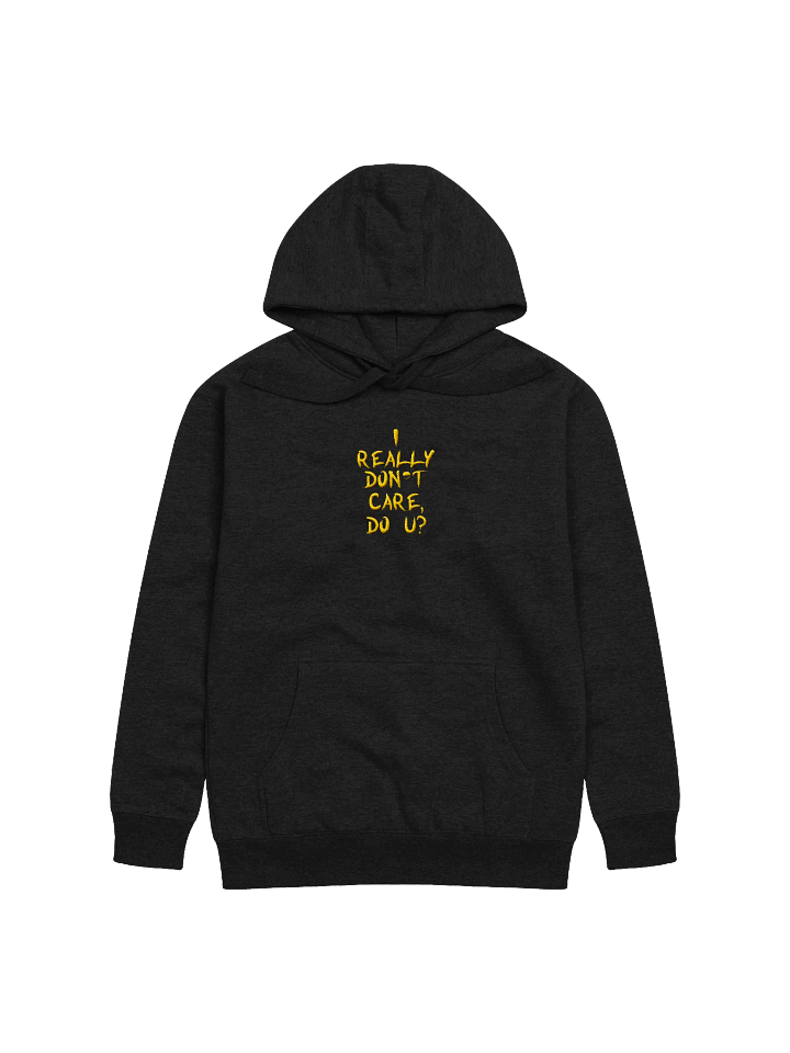 I don't care! Center Embroidered Hoodie product image (1)