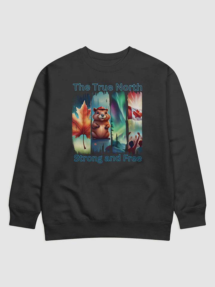 True North Vibes Sweatshirt product image (2)