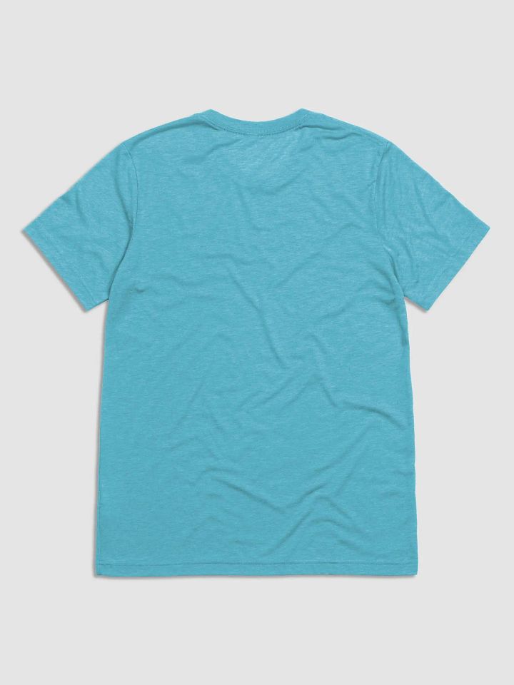 P.L.D.C. Triblend T-Shirt 2 product image (2)