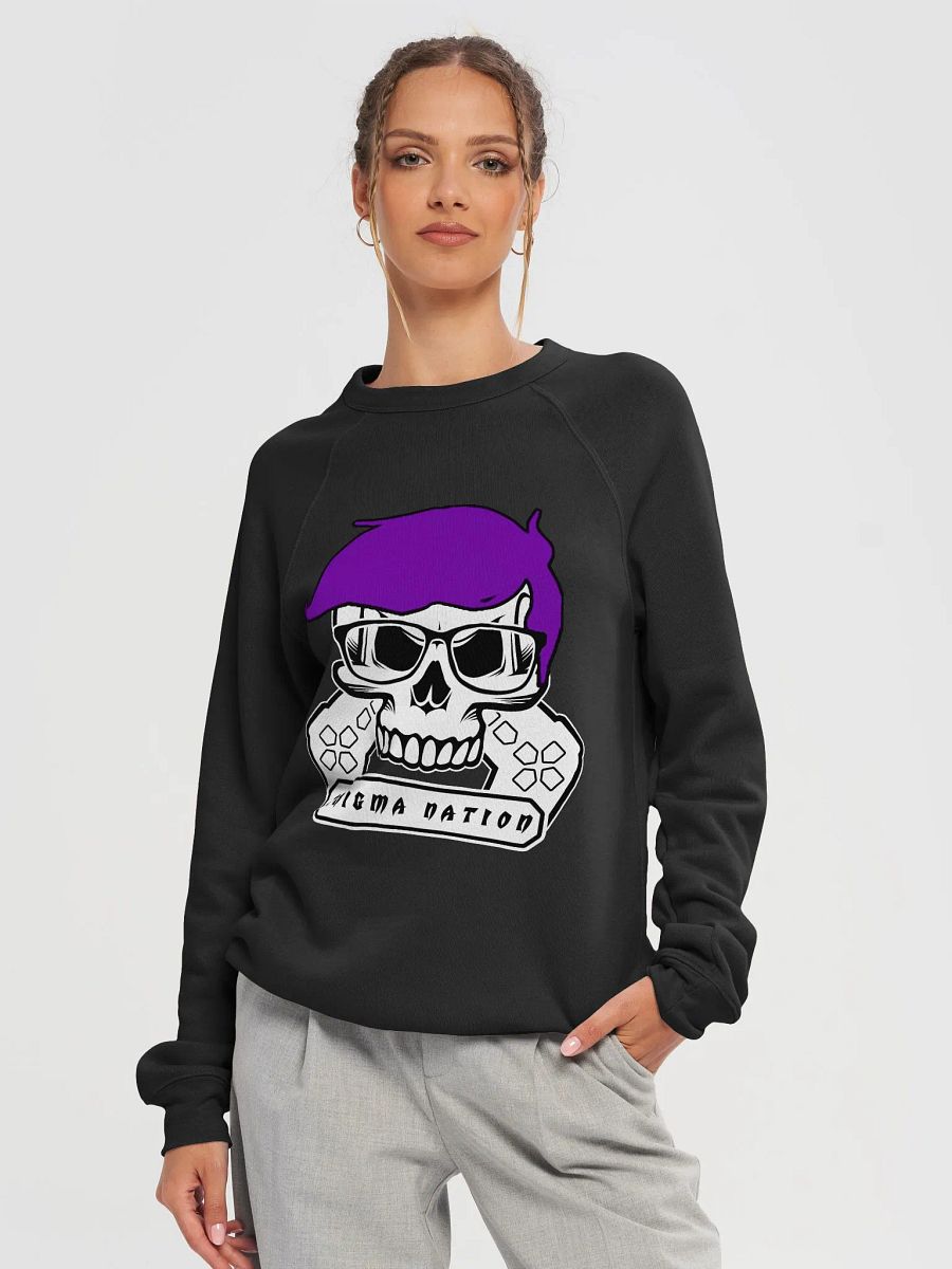 Enigma Nation Bella+Canvas Unisex Sponge Fleece Raglan Sweatshirt product image (9)