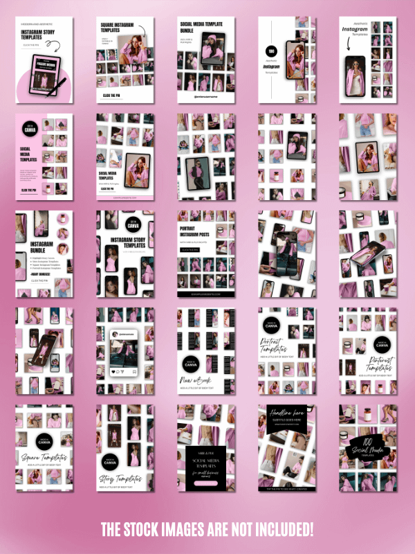 MRR/PLR Pinterest Templates for Digitals product image (4)