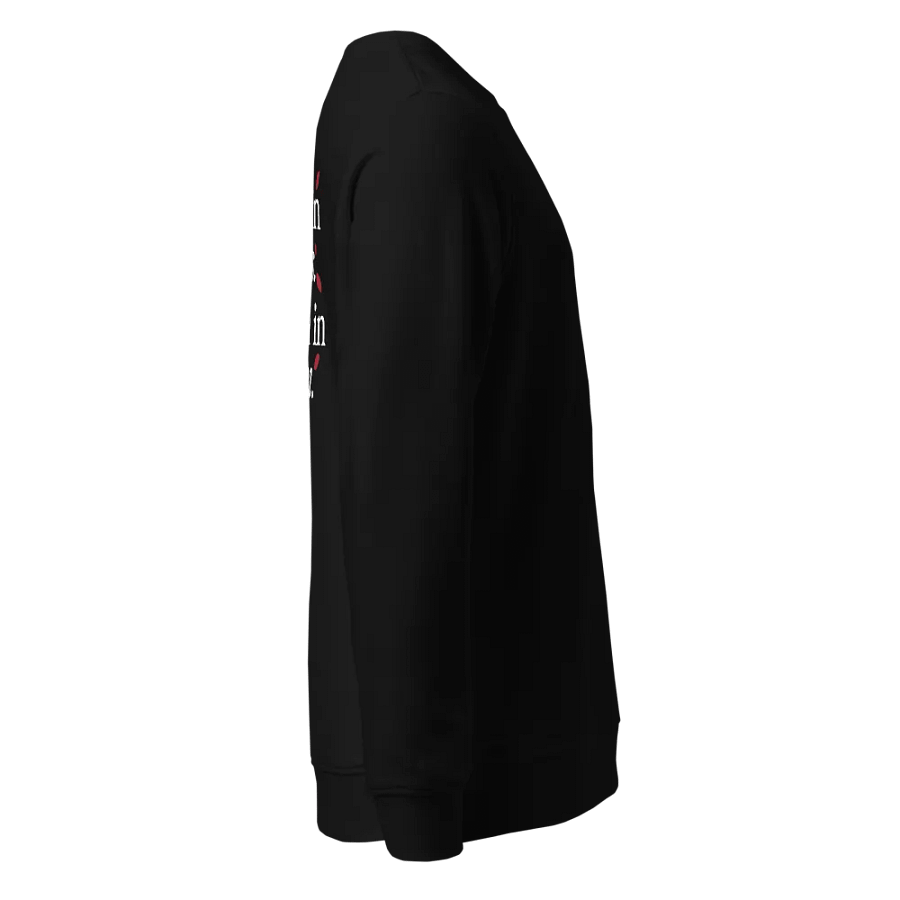 SOL'S Unisex Organic Embroidered Sweatshirt product image (4)