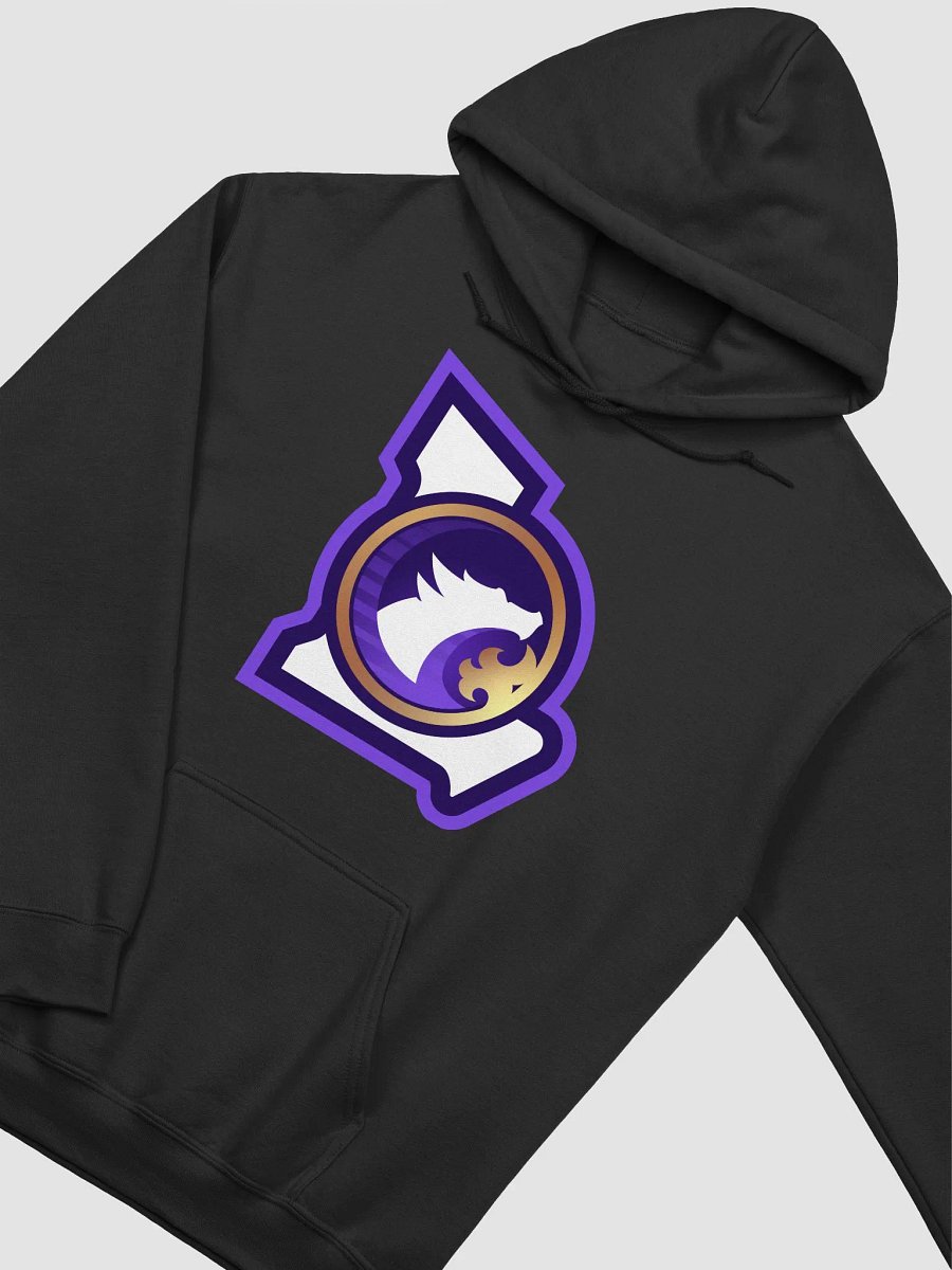 Legacy Womens Hoodie product image (3)