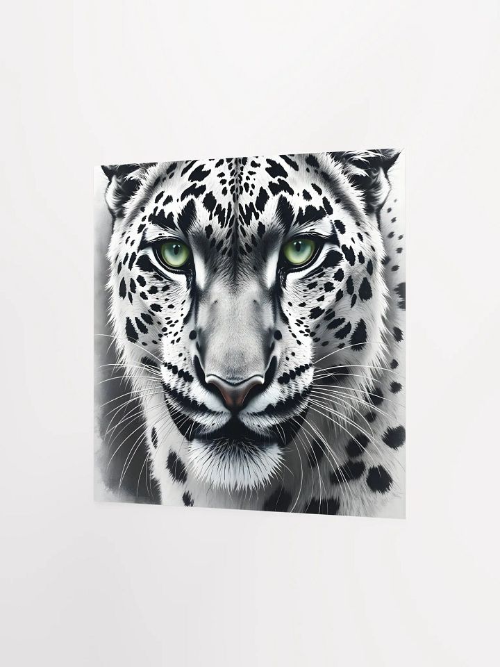 Snowleopard product image (8)