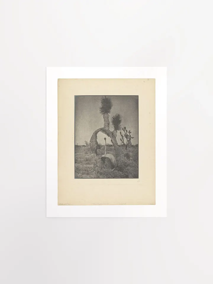 The Contortionist by Louis Fleckenstein (1930) - Print product image (1)