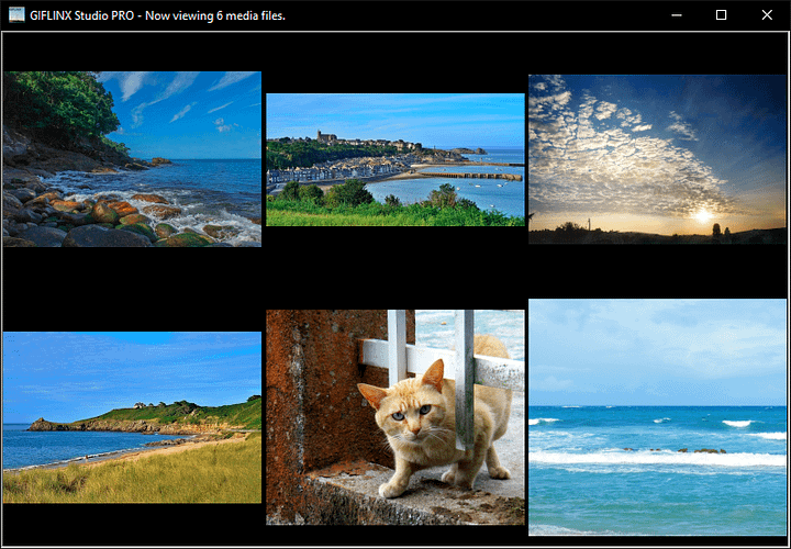 GIFLINX Studio PRO · Lifetime License product image (1)